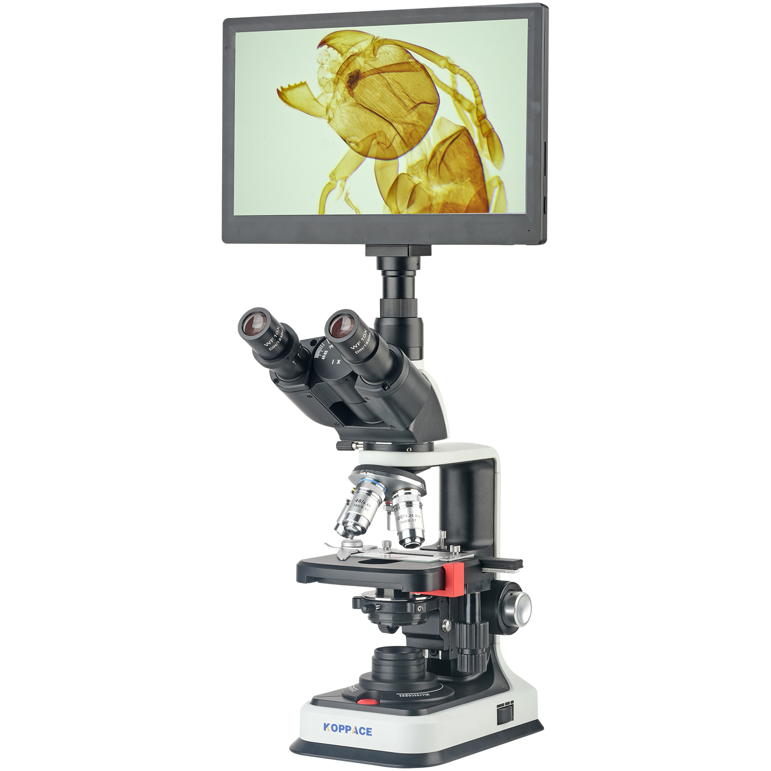 Microscope Compound 40X - Электронный лабораторный микроскоп KOPPACE 40X-2500X с