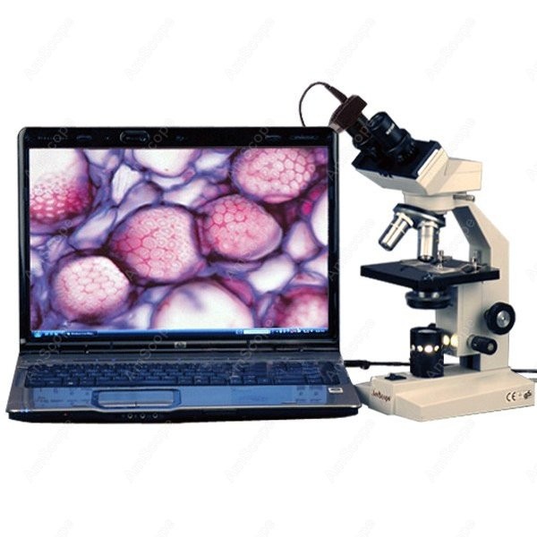 Биологический бинокулярный ком – обзор и цена Amscope Microscope Compound 40X-1000X